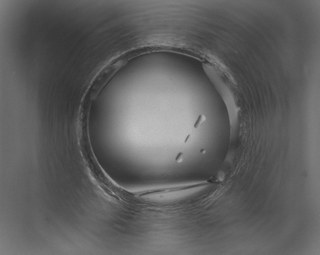 X0000073420580200608181123