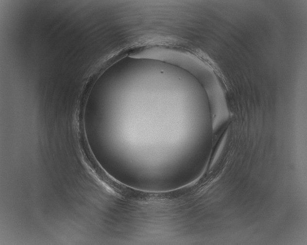 X0000073420581200608181123