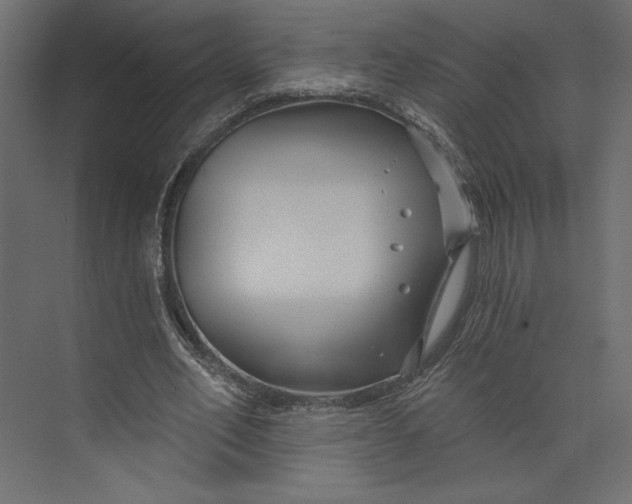 X0000073420582200608181123