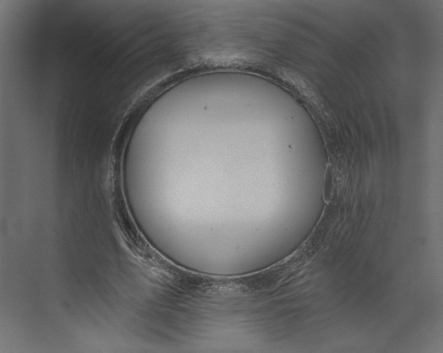 X0000073420583200608181123