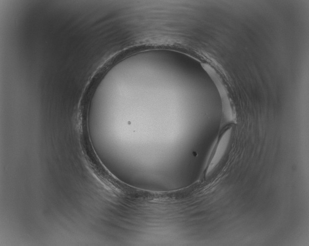 X0000073420584200608181123