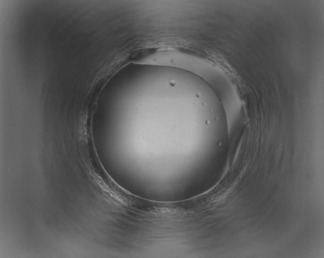 X0000073420585200608181123