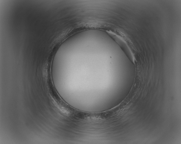 X0000073420586200608181123