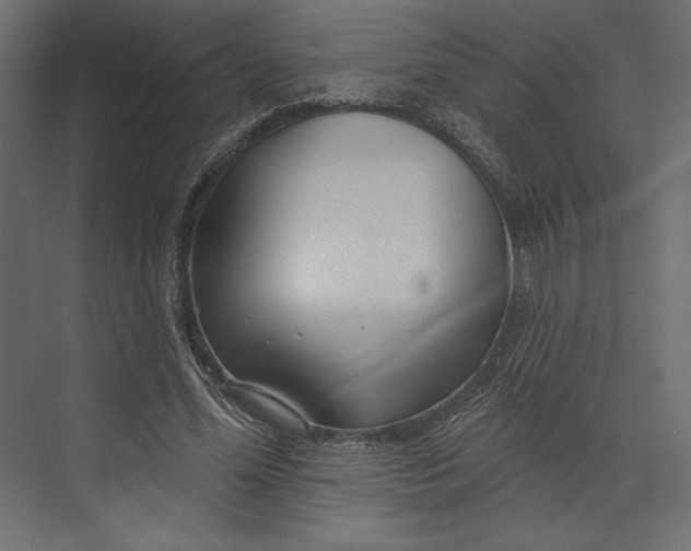 X0000073420588200608181123