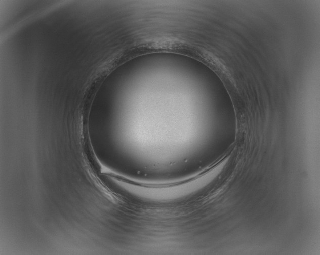 X0000073420589200608181123