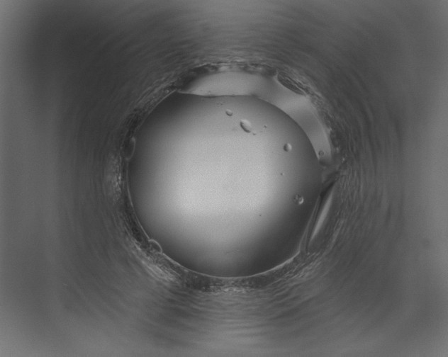 X0000073420593200608181123