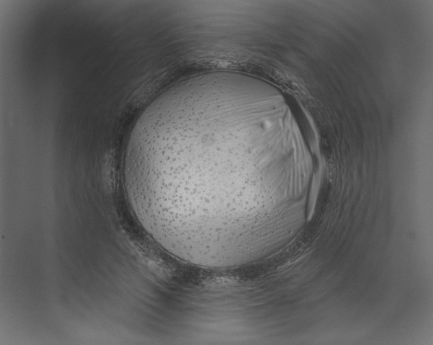 X0000073420594200608181123