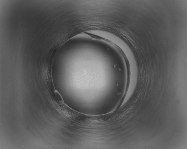 X0000073420597200608181123