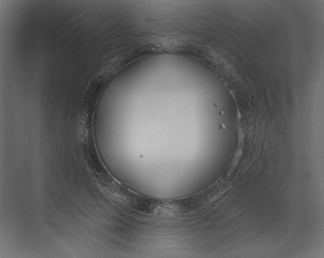 X0000073420599200608181123