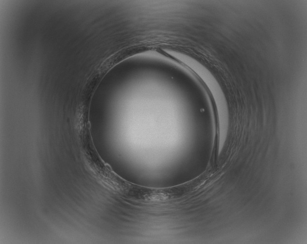 X0000073420600200608181123