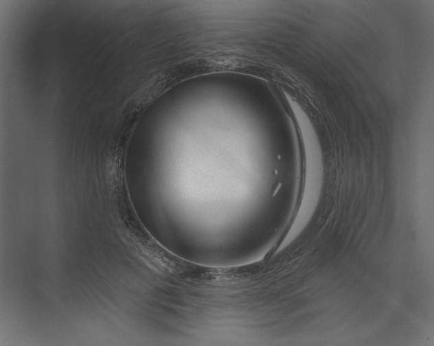 X0000073420601200608181123