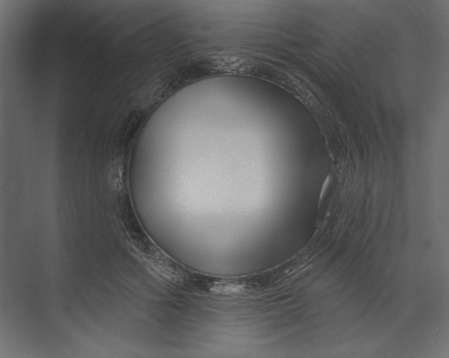 X0000073420602200608181123