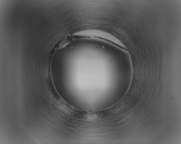 X0000073420604200608181123