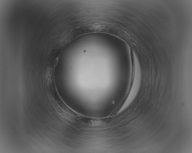 X0000073420605200608181123