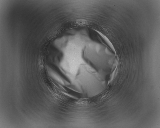 X0000073420606200608181123