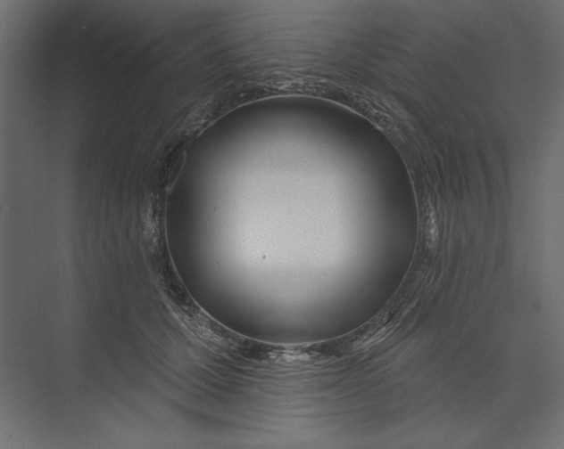 X0000073420607200608181123