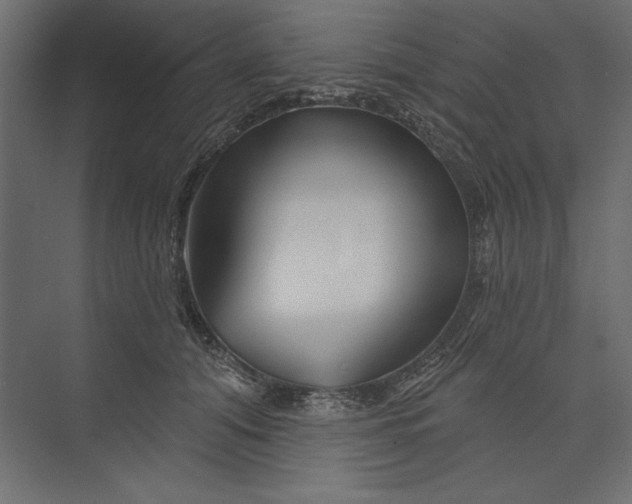 X0000073420608200608181123