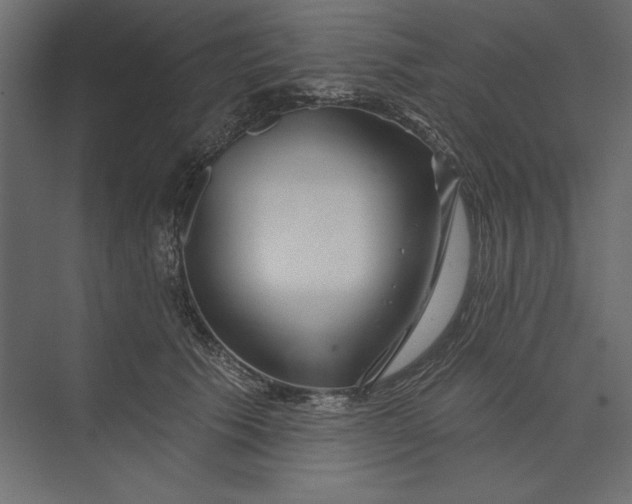 X0000073420609200608181123