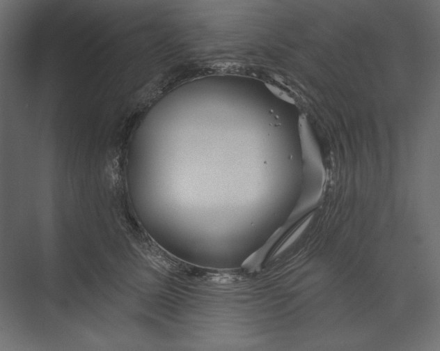 X0000073420611200608181123