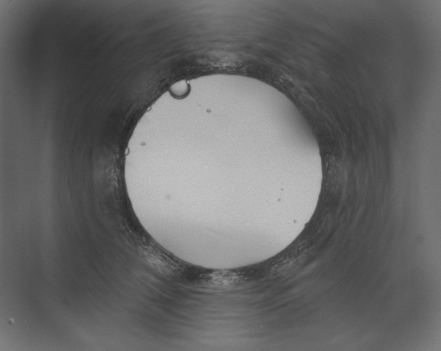 X0000073420612200608181123