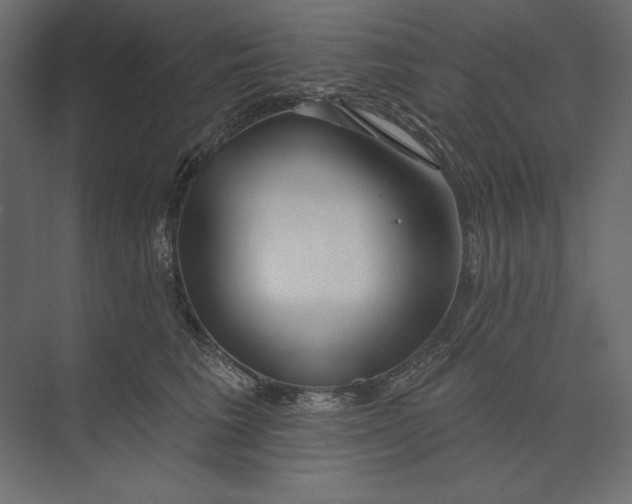 X0000073420613200608181123