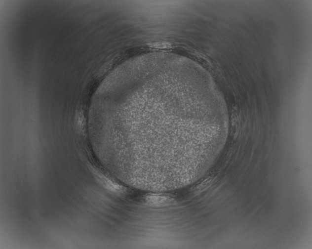 X0000073420614200608181123