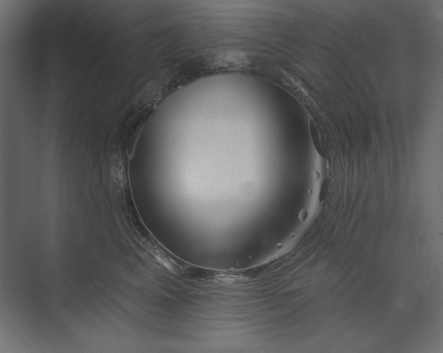 X0000073420617200608181123