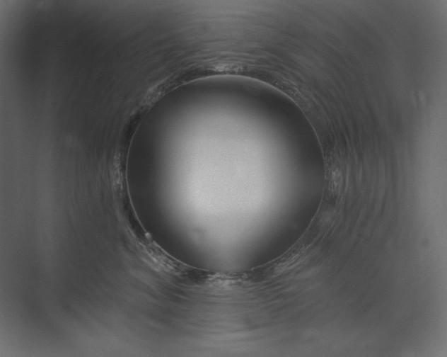 X0000073420620200608181123