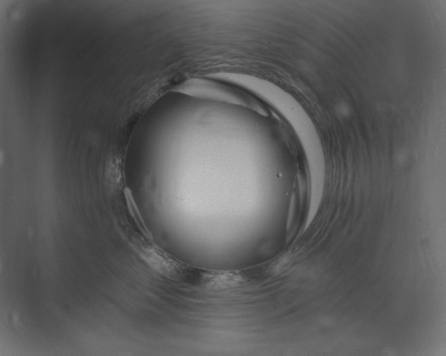 X0000073420621200608181123