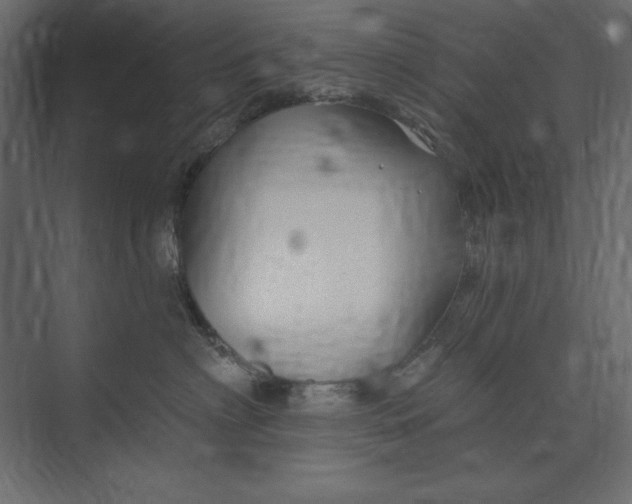 X0000073420622200608181123