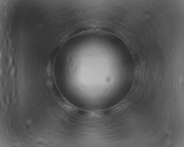 X0000073420623200608181123