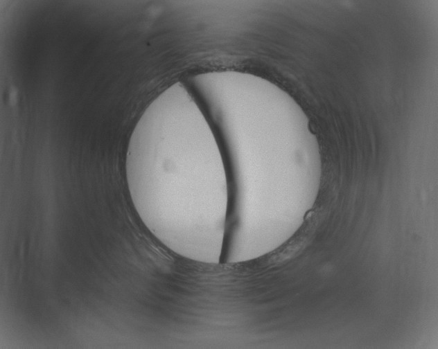 X0000073420624200608181123