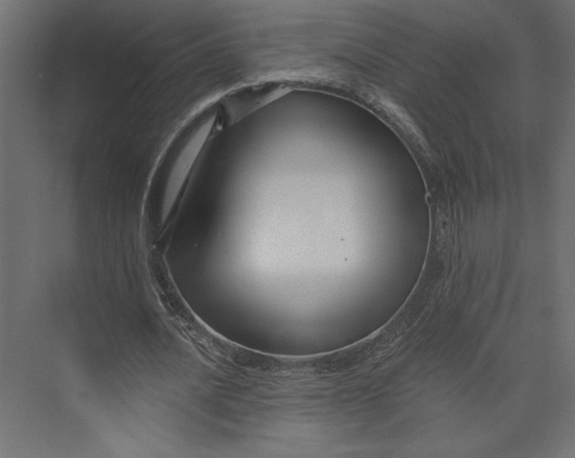 X0000073420628200608181122