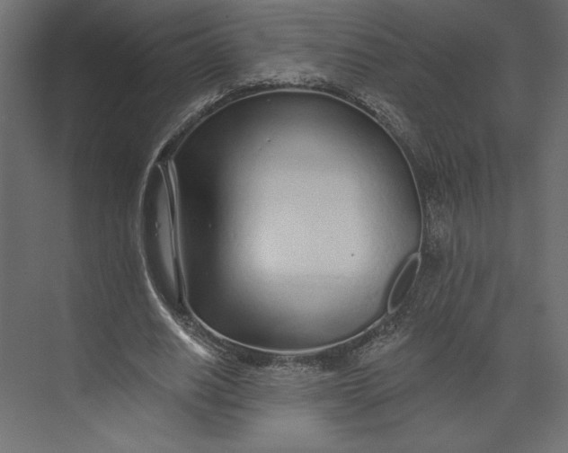 X0000073420630200608181122