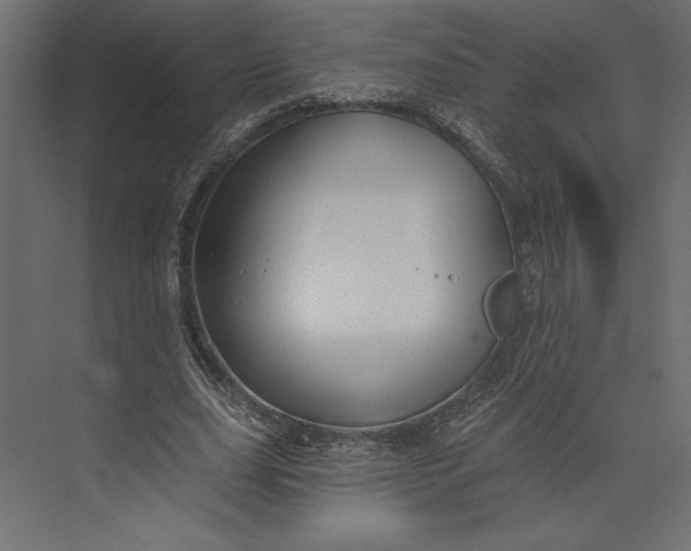 X0000073420631200608181122