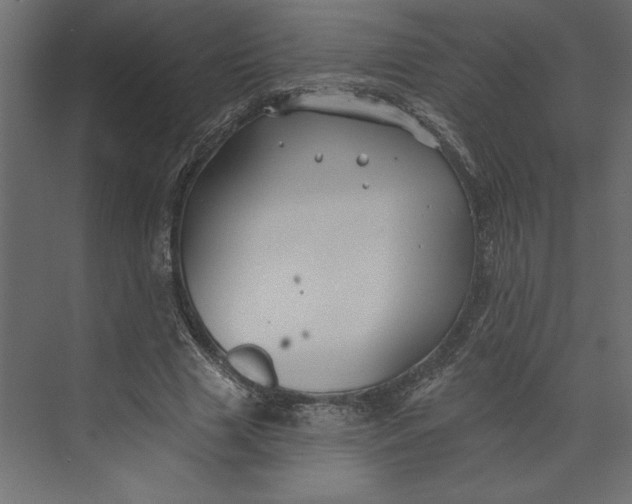 X0000073420633200608181122