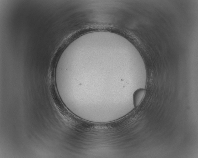 X0000073420636200608181122