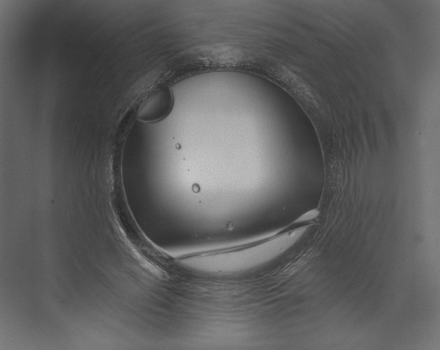 X0000073420638200608181122