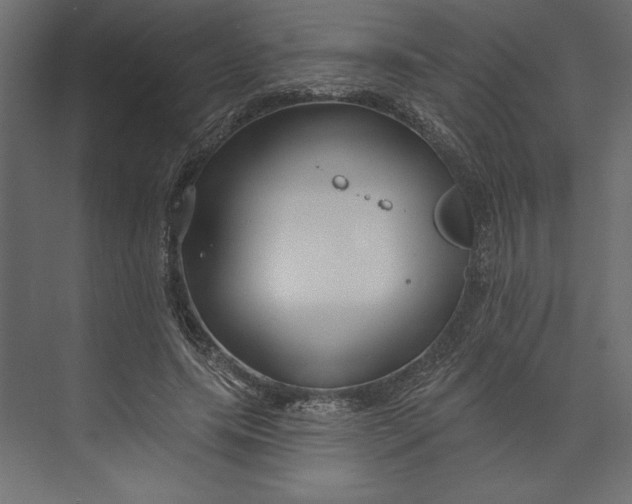 X0000073420639200608181122