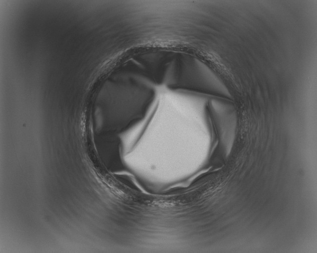 X0000073420640200608181122