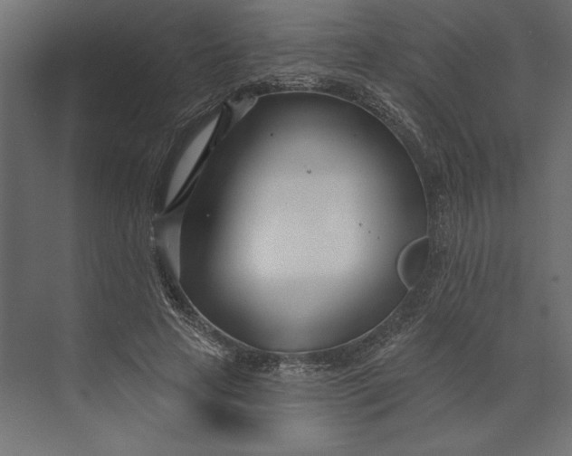 X0000073420641200608181122