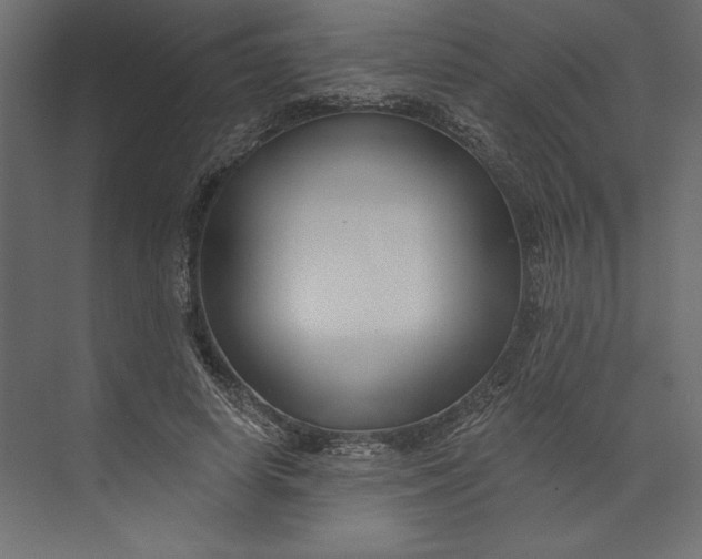 X0000073420642200608181122