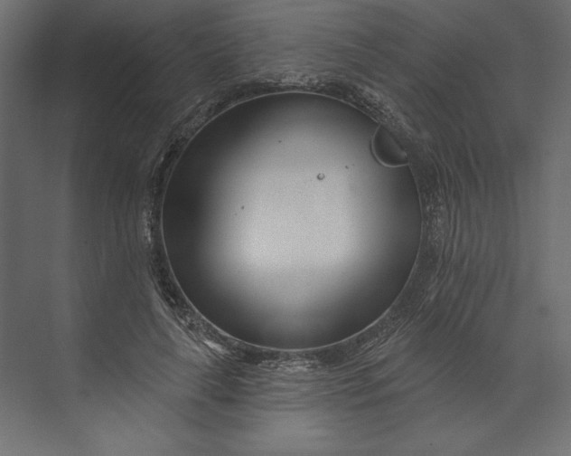 X0000073420643200608181122