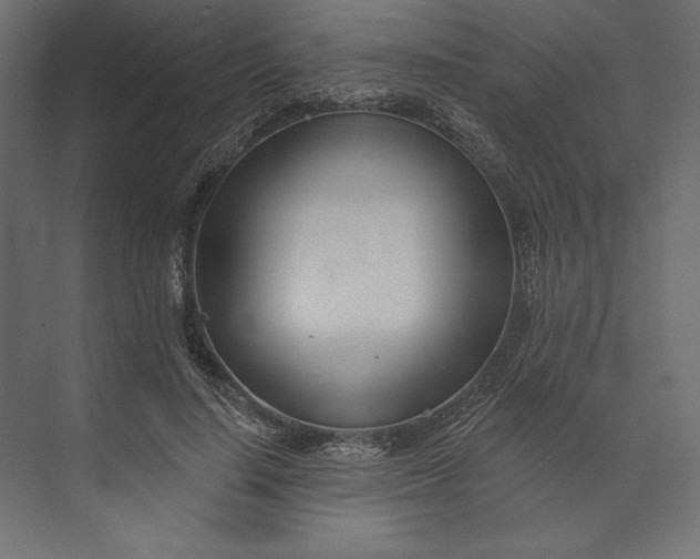 X0000073420644200608181122