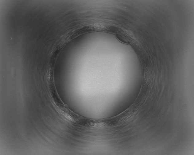 X0000073420645200608181122