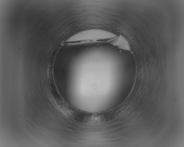 X0000073420647200608181122