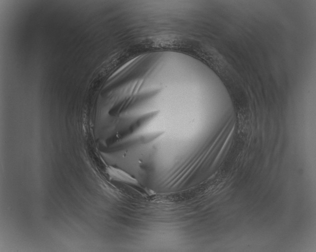 X0000073420648200608181122