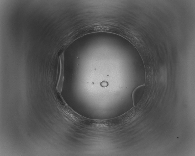 X0000073420649200608181122