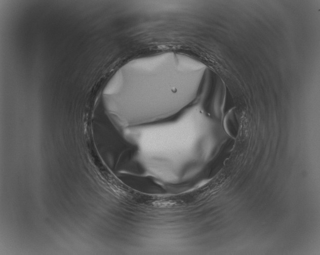 X0000073420650200608181122