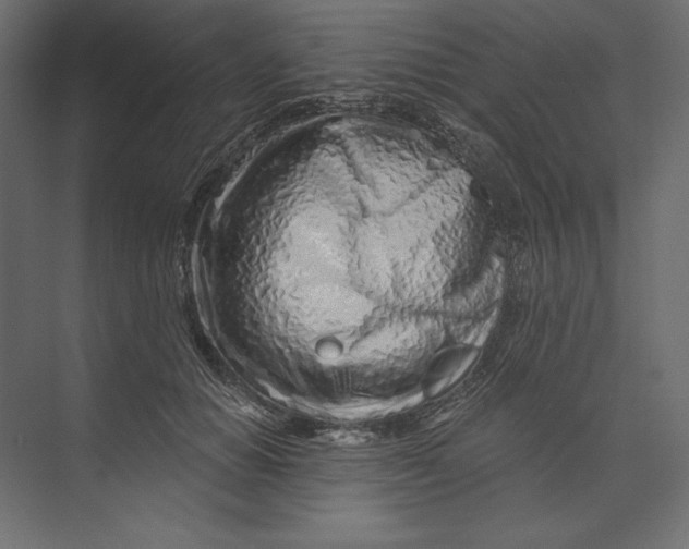 X0000073420654200608181122